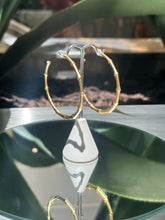 Load image into Gallery viewer, Wild Gold Hoops
