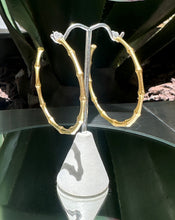 Load image into Gallery viewer, Wild Gold Hoops
